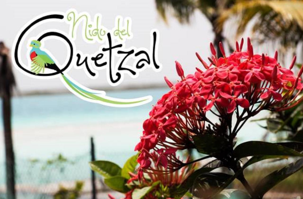 Nido Del Quetzal Ξενοδοχείο Bacalar Εξωτερικό φωτογραφία
